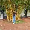Aiswarya