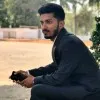 Robin roy