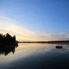 Shannon Silus Swanson
