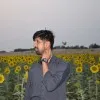 Zaryab Ali