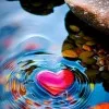 AHMED ADHAM