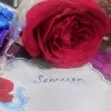 Samreen Shaik