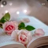 Ayesha Khan