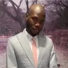 Lekan Adenusi