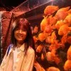 Xiaoyan Dong