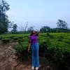 Purba Roy