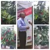 carlos mgumba
