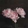 Mary Derting