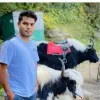 Rohit Lal