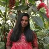 Sai Adhithi