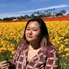 Jingjing Wang