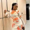 Adeola oleboh