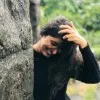 nishitha