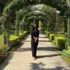 Surabhi