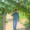 SANTOSH SOMWARE