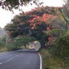 Poovizhi Velu