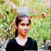 Vembu
