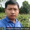Arief Maulana