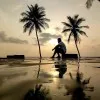 Seshadri