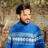 Muhammad Hamid