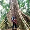 AKHMAD Alamsyah