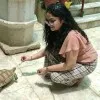 Ashi Mittal
