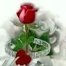Amit Tiwari