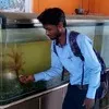 Anand Kumar