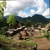 Flores Authentic Tour