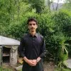 Hamid Tariq