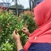Tasnia Noor Ema