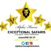 Alpha Harris Safaris