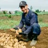 Nufid Farm Produsen dan Suplier Kentang Dieng