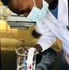 Tshakalisa Nkomo