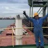 Limuel Turgo