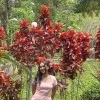 Shweta Ramesh