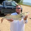 Andy Petras
