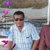 Syaiful Arif