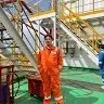 Steward Tedong