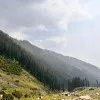 Mujtaba Hussain
