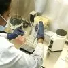 KULBEER KAUR