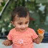 thamin ansari