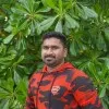 Murali somu