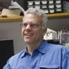 seth goldstein