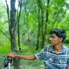 Bavaneeswaran