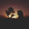 Mariam Yusuff