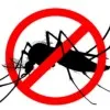 Mosquito Doors and Windows