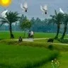 Sankar