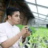 Dadan Wildan