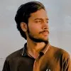 Ameer Hamza